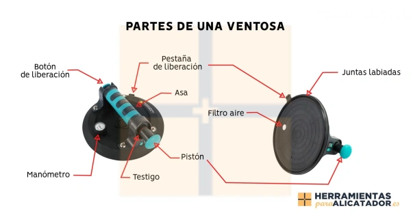 partes-de-una-ventosa-min